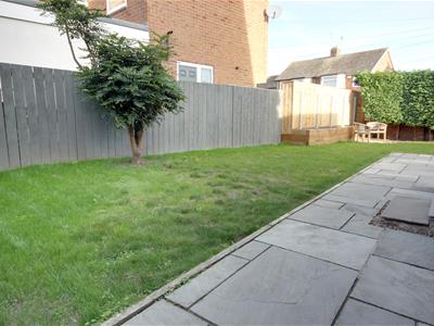 Picture 11